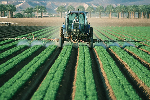 Corporate agriculture training participants