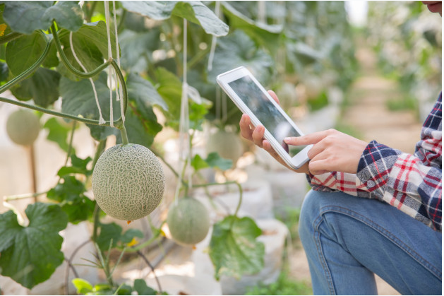 Hydroponic farming risk management